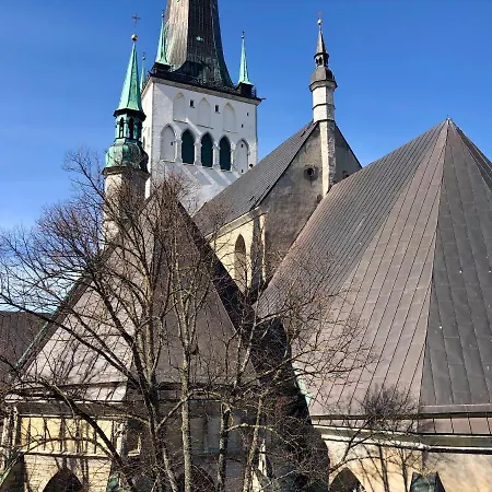 Old Town - Oleviste Lägenhet