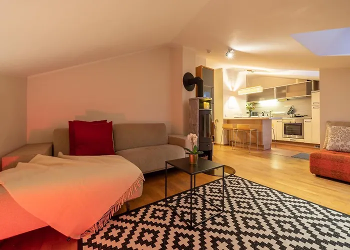 Old Town - Oleviste 公寓 塔林